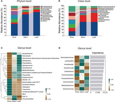 Endophytic bacterial communities in wild rice (Oryza officinalis) and their plant growth-promoting effects on perennial rice